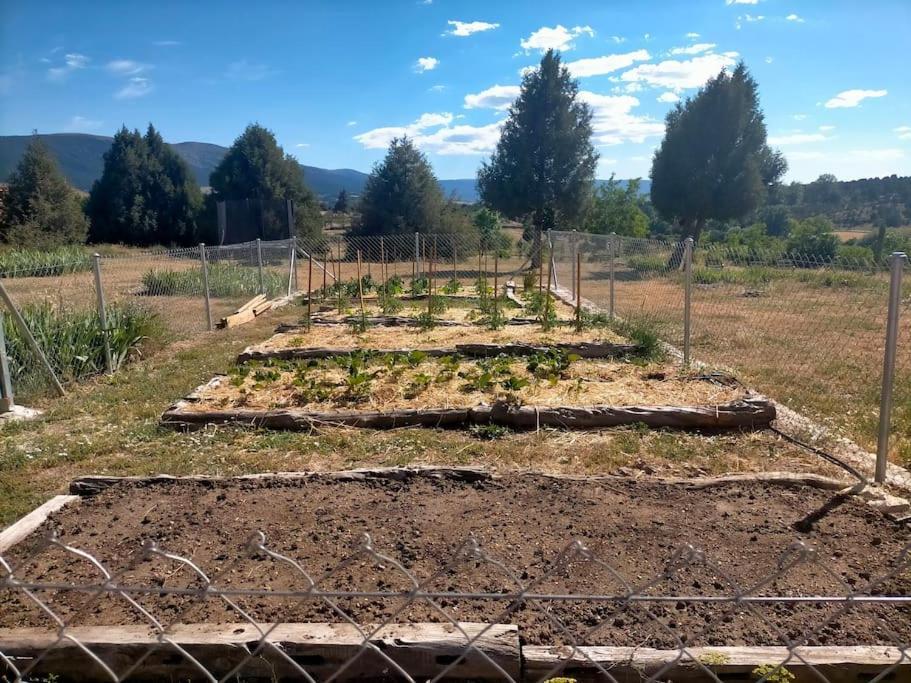 El Telar Arte Y Naturaleza Prádena Exteriör bild